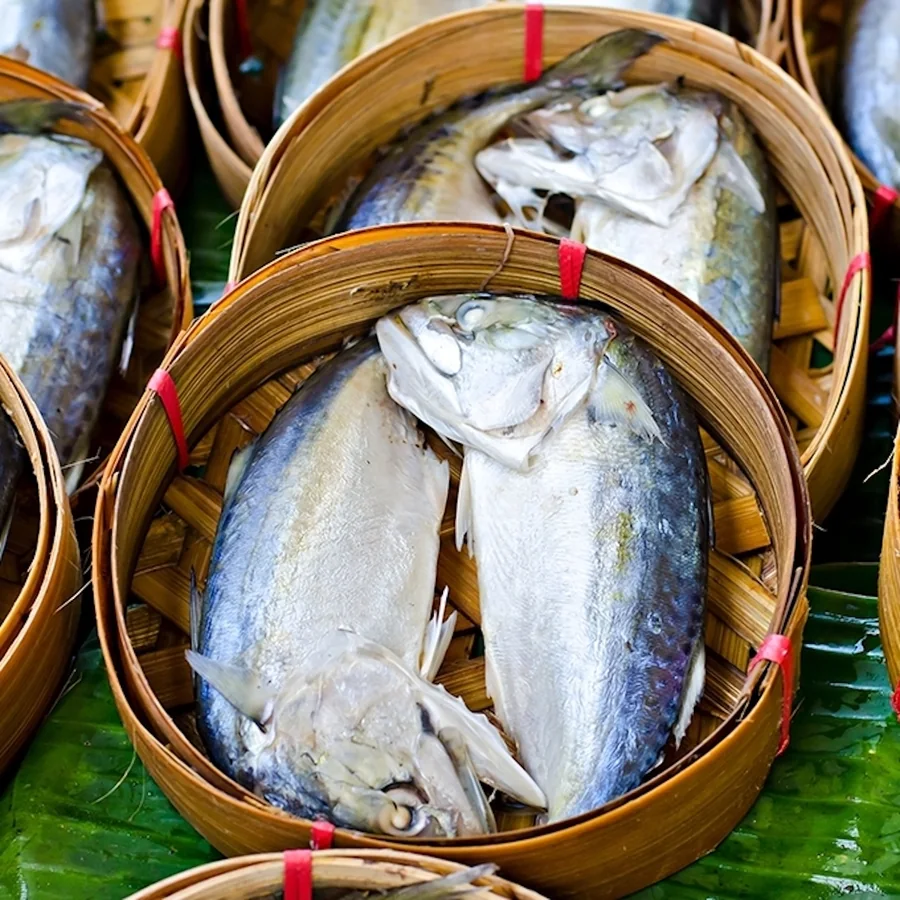 ปลาทูแม่กลอง